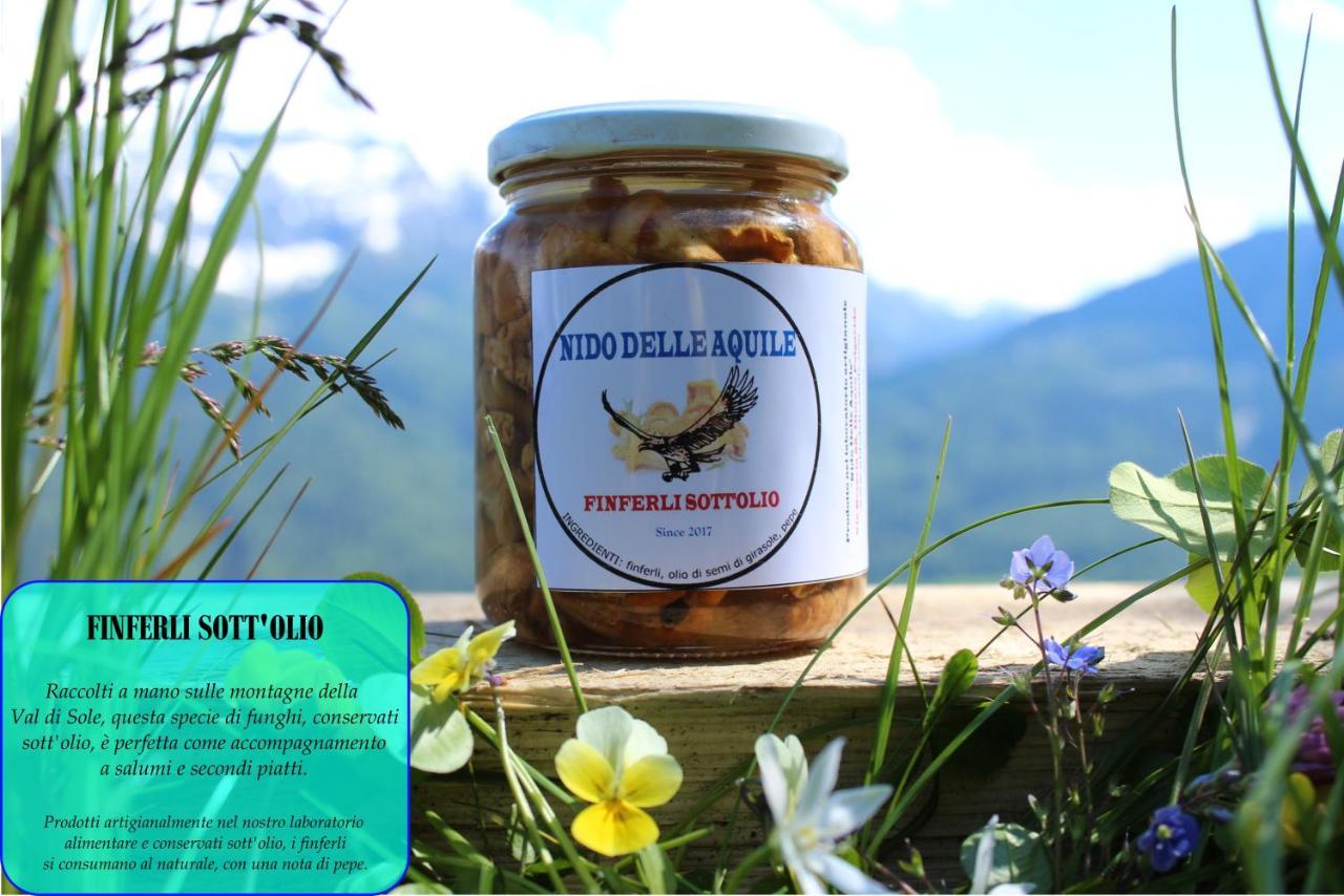 B&B Nido Delle Aquile Monclassico Kültér fotó