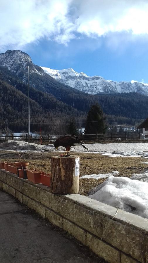 B&B Nido Delle Aquile Monclassico Kültér fotó